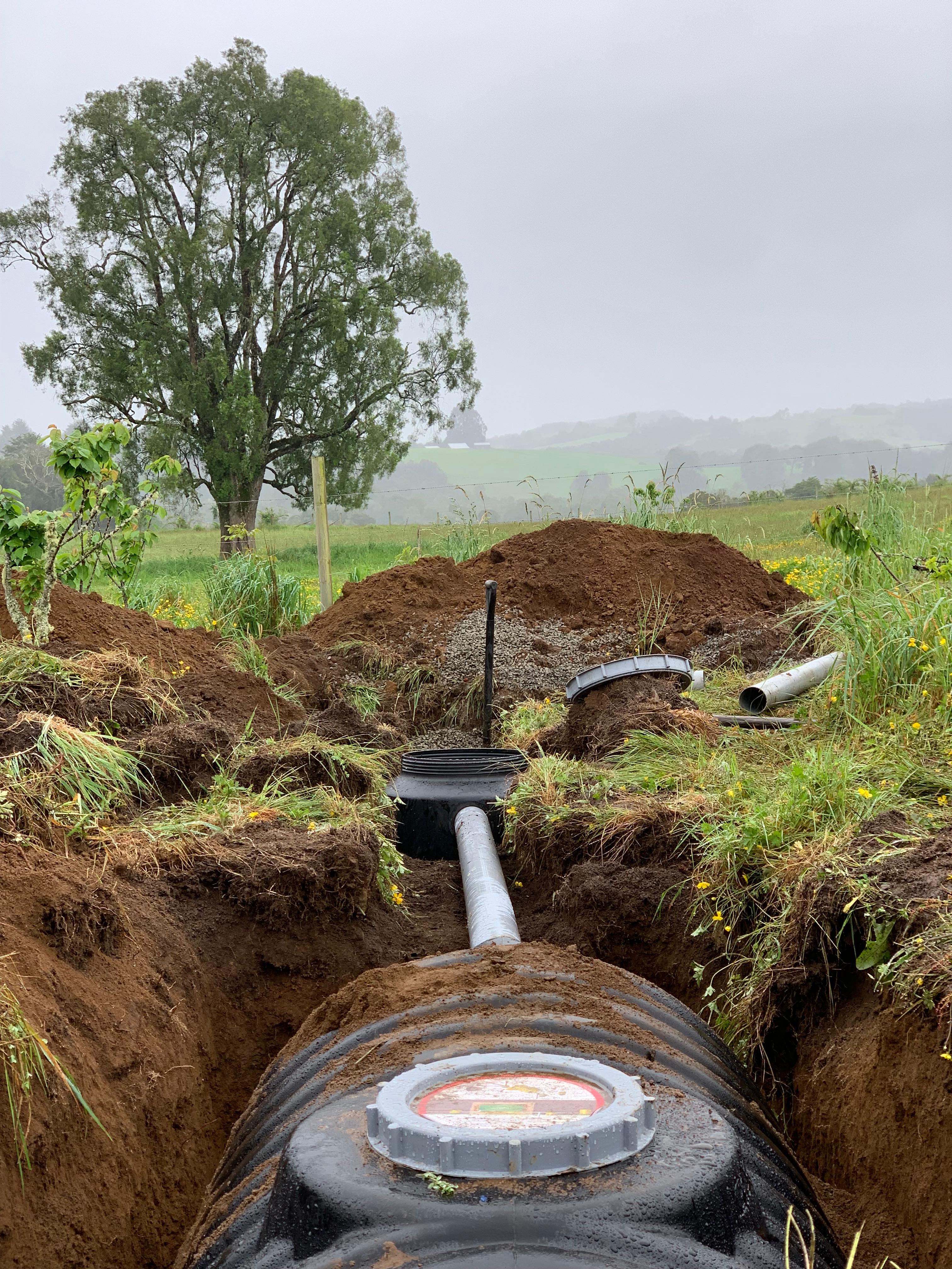 Proyecto destacado 1